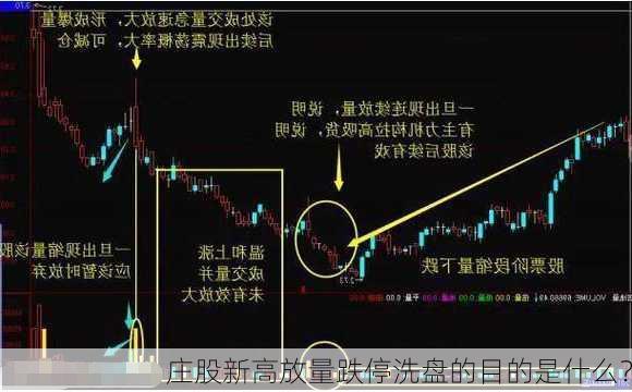 庄股新高放量跌停洗盘的目的是什么？