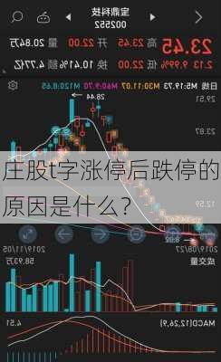 庄股t字涨停后跌停的原因是什么？