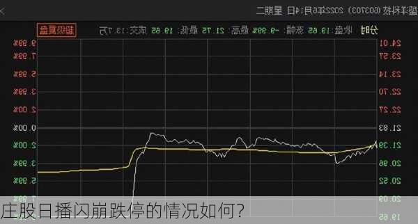 庄股日播闪崩跌停的情况如何？