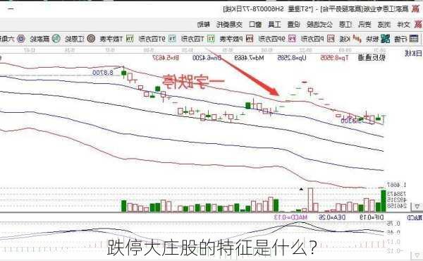 跌停大庄股的特征是什么？