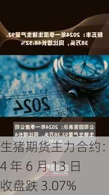 生猪期货主力合约：2024 年 6 月 13 日收盘跌 3.07%