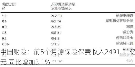 中国财险：前5个月原保险保费收入2491.21亿元 同比增加3.1%