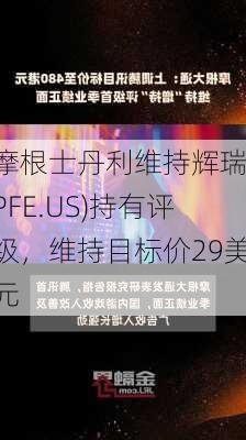 摩根士丹利维持辉瑞(PFE.US)持有评级，维持目标价29美元