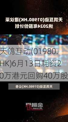 天鸽互动(01980.HK)6月13日耗资20万港元回购40万股