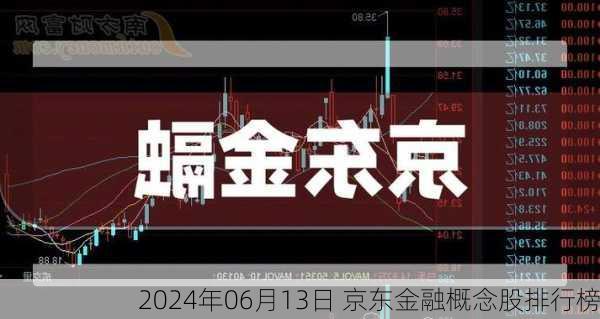 2024年06月13日 京东金融概念股排行榜