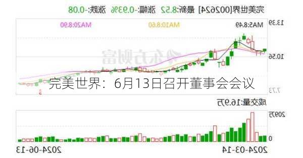 完美世界：6月13日召开董事会会议