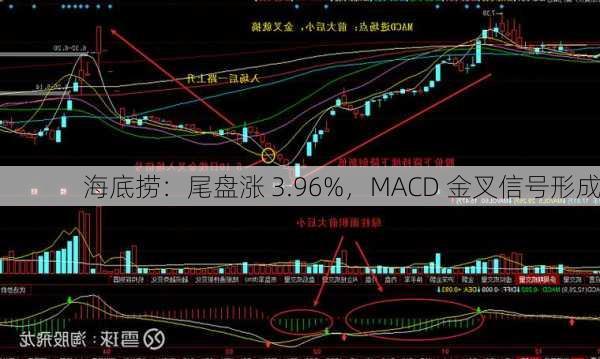 海底捞：尾盘涨 3.96%，MACD 金叉信号形成