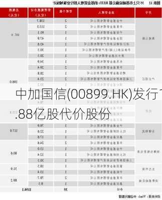 中加国信(00899.HK)发行1.88亿股代价股份