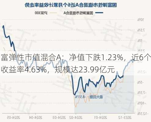 国富弹性市值混合A：净值下跌1.23%，近6个月收益率4.63%，规模达23.99亿元