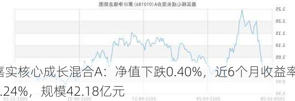 嘉实核心成长混合A：净值下跌0.40%，近6个月收益率-7.24%，规模42.18亿元