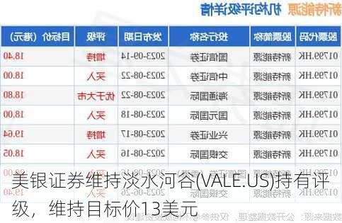 美银证券维持淡水河谷(VALE.US)持有评级，维持目标价13美元