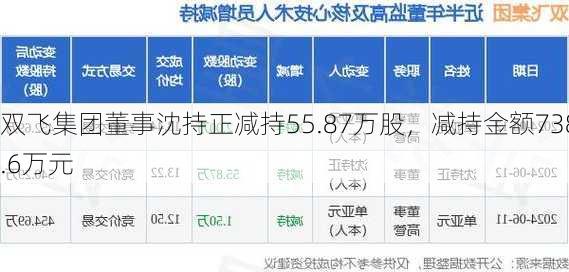 双飞集团董事沈持正减持55.87万股，减持金额738.6万元