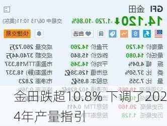 金田跌超10.8% 下调了2024年产量指引