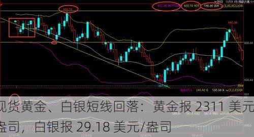 现货黄金、白银短线回落：黄金报 2311 美元/盎司，白银报 29.18 美元/盎司