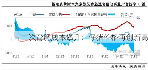 二次育肥成本攀升：仔猪价格再创新高