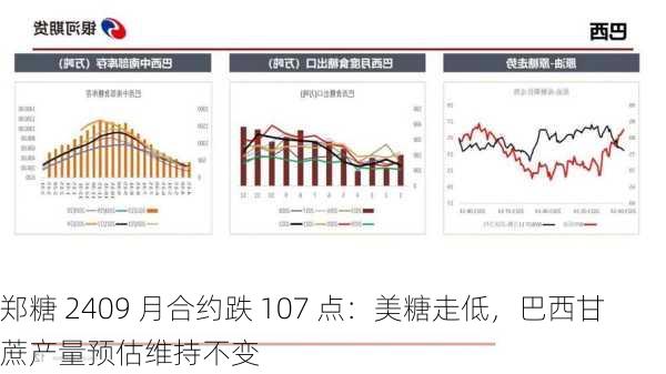 郑糖 2409 月合约跌 107 点：美糖走低，巴西甘蔗产量预估维持不变