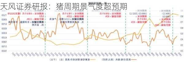 天风证券研报：猪周期景气度超预期