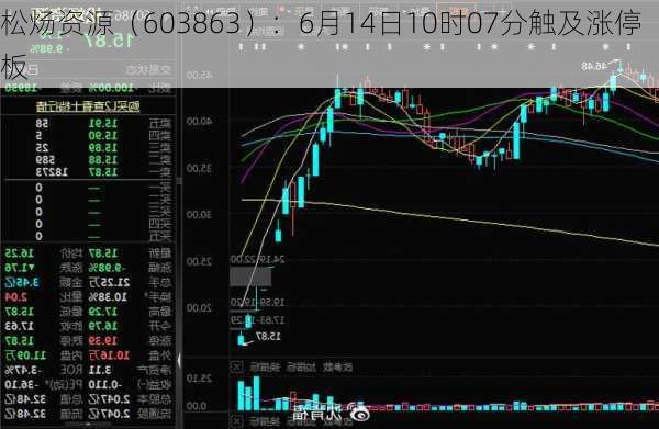 松炀资源（603863）：6月14日10时07分触及涨停板