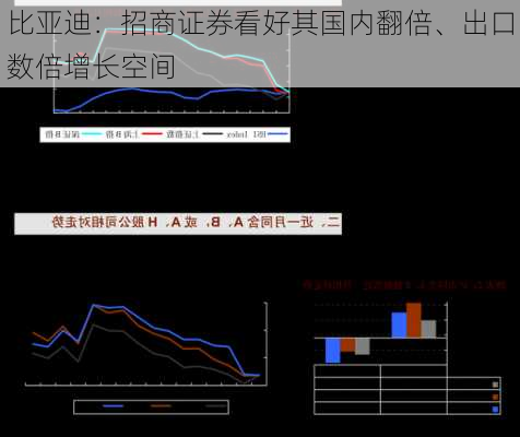 比亚迪：招商证券看好其国内翻倍、出口数倍增长空间