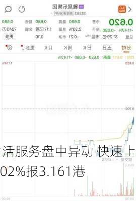 雅生活服务盘中异动 快速上涨5.02%报3.161港元