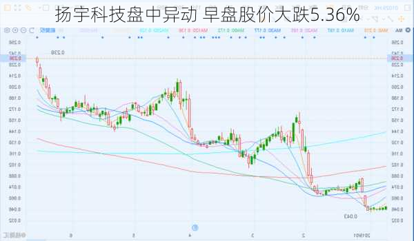 扬宇科技盘中异动 早盘股价大跌5.36%