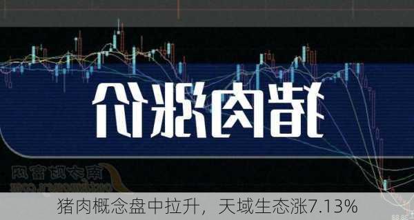 猪肉概念盘中拉升，天域生态涨7.13%