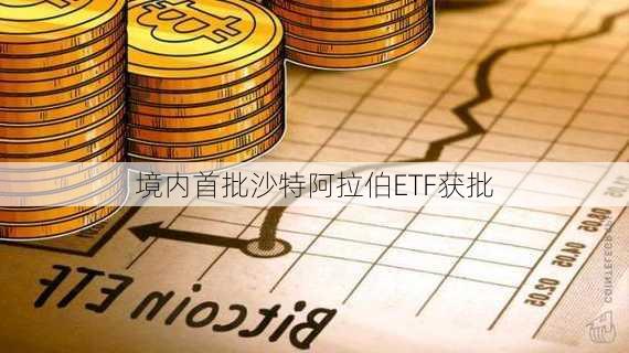 境内首批沙特阿拉伯ETF获批