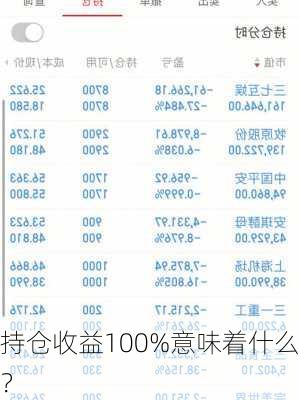 持仓收益100%意味着什么？