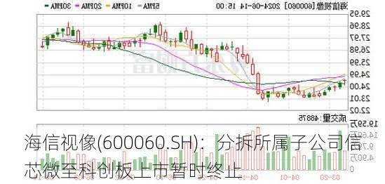 海信视像(600060.SH)：分拆所属子公司信芯微至科创板上市暂时终止