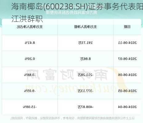 海南椰岛(600238.SH)证券事务代表阳江洪辞职