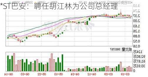 *ST巴安：聘任胡江林为公司总经理