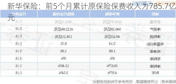 新华保险：前5个月累计原保险保费收入为785.7亿元