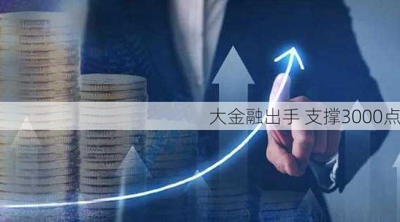 大金融出手 支撑3000点