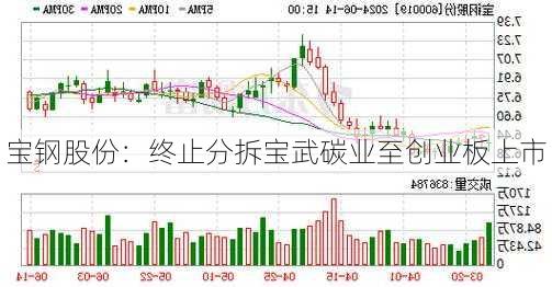 宝钢股份：终止分拆宝武碳业至创业板上市