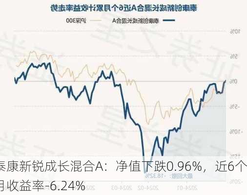 泰康新锐成长混合A：净值下跌0.96%，近6个月收益率-6.24%