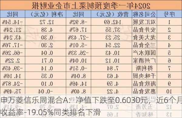 申万菱信乐同混合A：净值下跌至0.6030元，近6个月收益率-19.05%同类排名下滑