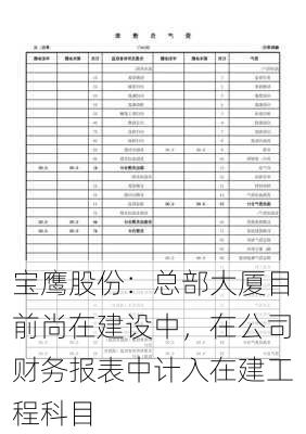 宝鹰股份：总部大厦目前尚在建设中，在公司财务报表中计入在建工程科目