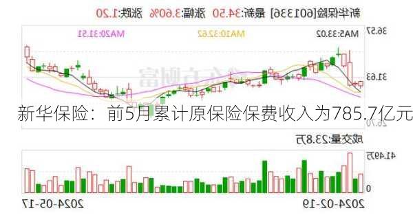 新华保险：前5月累计原保险保费收入为785.7亿元