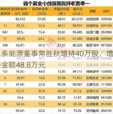 永泰能源董事常胜秋增持40万股，增持金额48.8万元