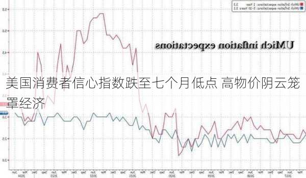 美国消费者信心指数跌至七个月低点 高物价阴云笼罩经济