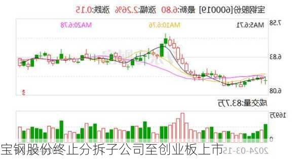 宝钢股份终止分拆子公司至创业板上市