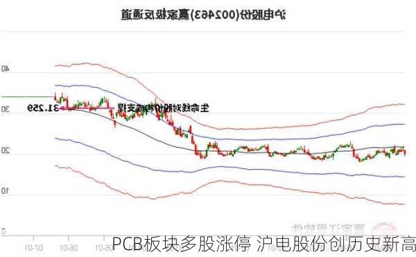 PCB板块多股涨停 沪电股份创历史新高