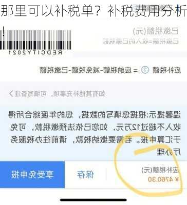 那里可以补税单？补税费用分析！