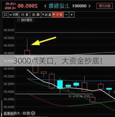 3000点关口，大资金抄底！