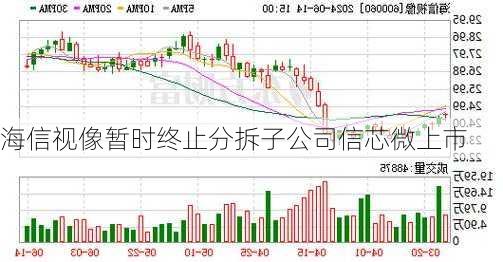 海信视像暂时终止分拆子公司信芯微上市