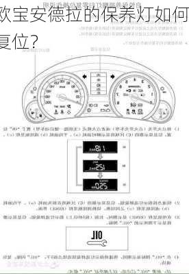 欧宝安德拉的保养灯如何复位？