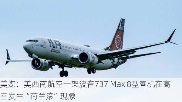 美媒：美西南航空一架波音737 Max 8型客机在高空发生“荷兰滚”现象