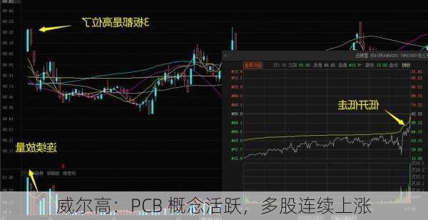 威尔高：PCB 概念活跃，多股连续上涨