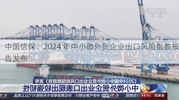 中国信保：2024 年中小微外贸企业出口风险指数报告发布