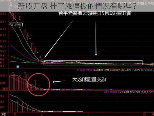 新股开盘 挂了涨停板的情况有哪些？